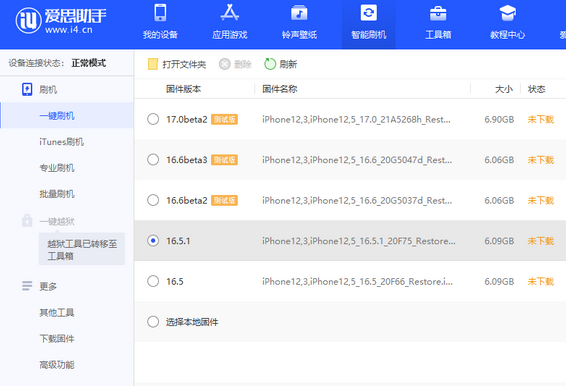 鞍山苹果售后维修分享iPhone提示无法检查更新怎么办