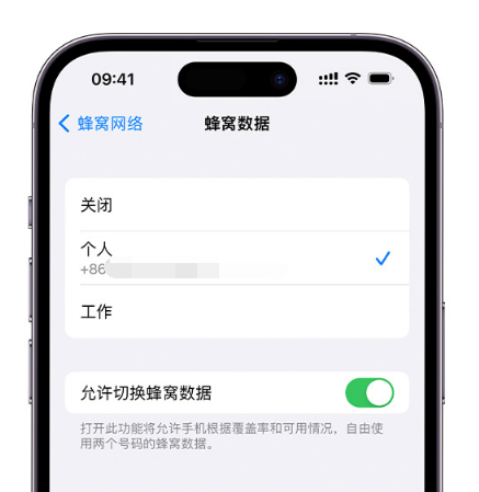 鞍山苹果维修服务分享如何在iPhone上使用双卡 